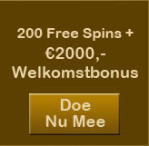 Mega Casino Promoties